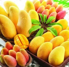 African Mango